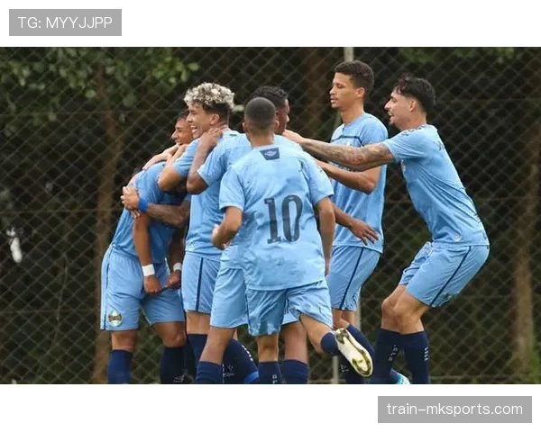 巴西队状态回暖，精彩表现引关注