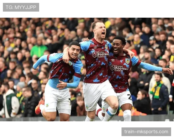 布伦特福德新赛季展望：稳扎稳打，力争英超再进一步