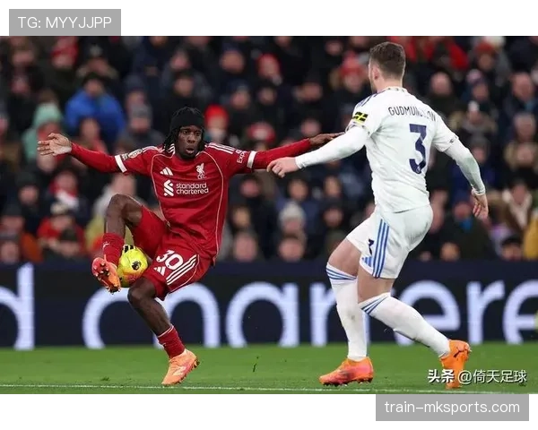 富勒姆2025赛季英超表现稳健 竞争力持续提升