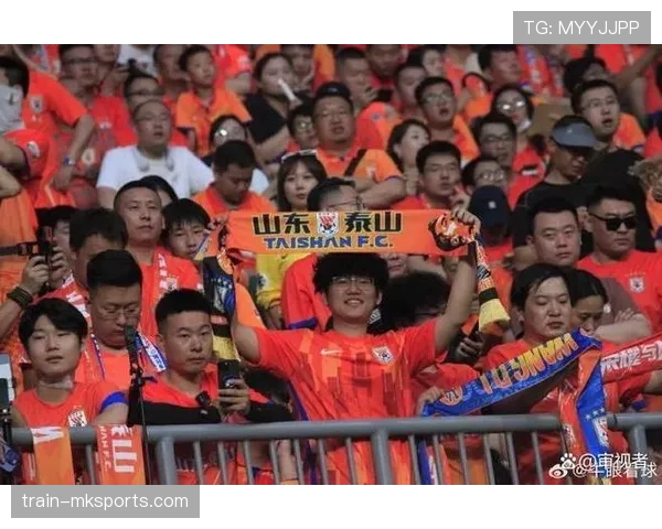 山东泰山争冠集团